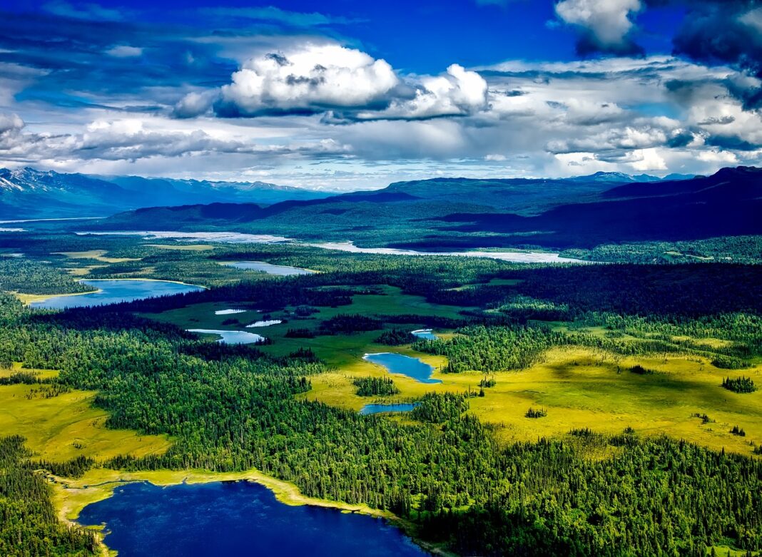 denali-national-park-1624102_1280